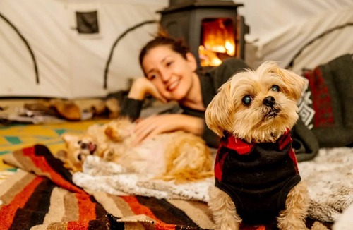Petersburgh House | Piebald Mountain Pet Friendly Tents, Petersburg, New York
