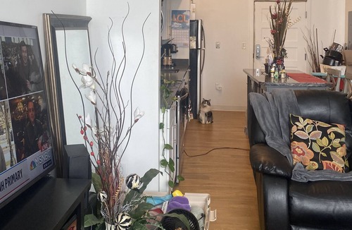 Portsmouth Apartment | Portsmouth NH Living