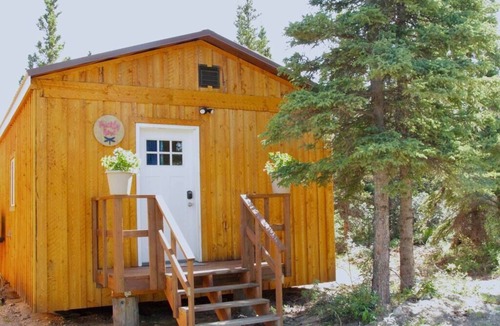 Healy Cabin | Prickly Rose Cabin-Arctic Dragonfly Inn