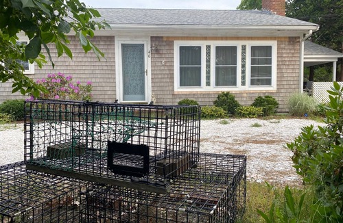 South Dennis House | Private beach on saltwater pond, dog friendly 4BR in secluded neighborhood.