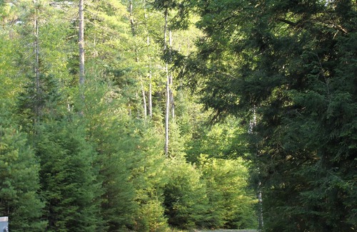 Canaan Cabin | Private Retreat with Breathtaking River Views