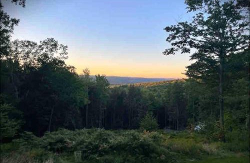 Ouaquaga Ski Chalet | Private with a Beautiful View House