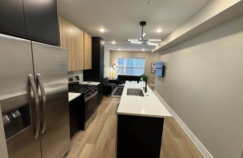 Graduate Hospital Apartment | Rittenhouse, 4 level, 2 bedroom,& rooftop.