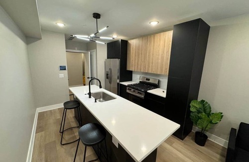 Graduate Hospital Apartment | Rittenhouse, 4 level, 2 bedroom,& rooftop.