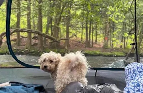 Harris RV Rental | River Camping Near Bethel Woods