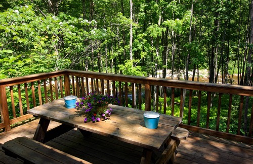 Jackson Cabin | Riverfront Cabin - Near Storyland