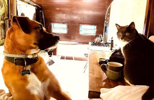 Ancram House | Romantic Glamping Getaway in a Pet Friendly Caravan, Ideal to Explore Hudson Valley