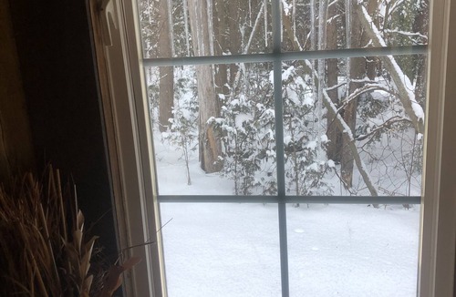 Sutton Cabin | Romantic Log Cabin in the Woods - Hot Tub under the Stars -80 km's from CN Tower