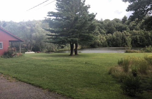 Winsted Cabin | Rustic cabin on private pond and 7 acres -Nature immersion! Hummingbirds to owls
