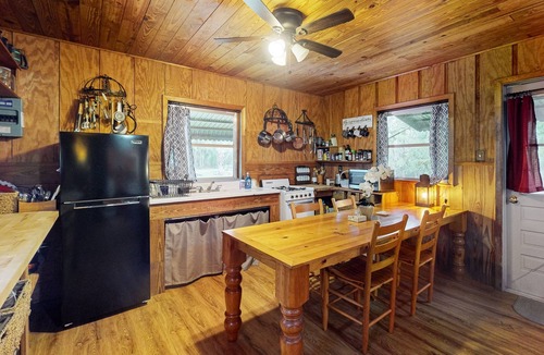 Bronson Cabin | Rustic riverfront cabin with views, firepit, grill, canoe, kitchen, & W/D