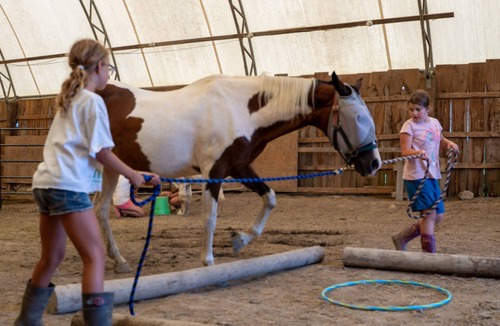 Adelaide Metcalfe Apartment | Rustic Stay on our Alpaca Farm, close to Grand Bend!