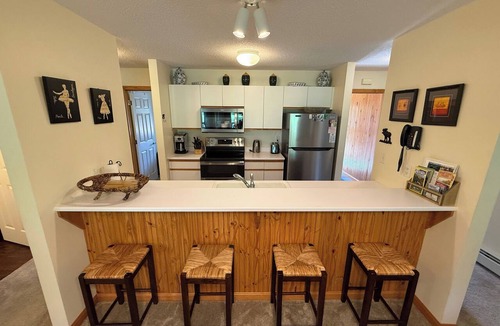 Bretton Woods Apartment | S35 Pet-Friendly Bretton Woods Condo | A/C, Fireplace, Near Ski Area | King Bed & Mountain Escape