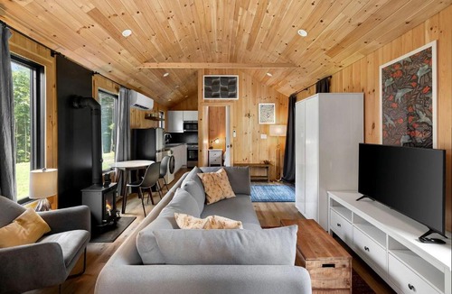 Wolcott House | Scenic Scandinavian Retreat with Ski-In/Out Trail Access Near Stowe, Wolcott, Vermont