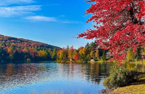 Eden House | Serenity by the lake