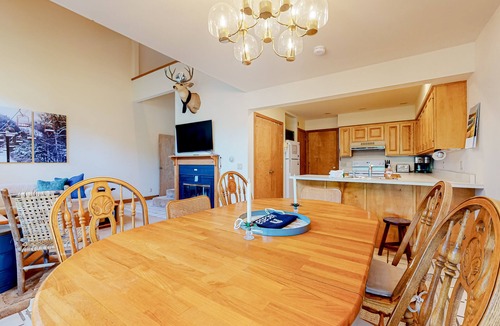 Londonderry Condo | Ski-in/ski-out, dog-friendly condo with 2 decks & fireplace - steps to lifts
