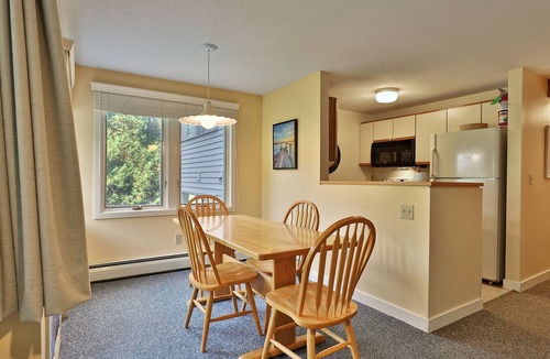 Killington Condo | Ski You Later, Alligator Condo with Mountain Views on Shuttle Route