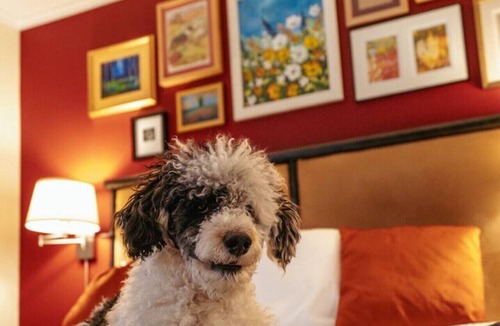 Woodstock Bed & Breakfast | Sleep Woodstock - Dog Friendly King Suite