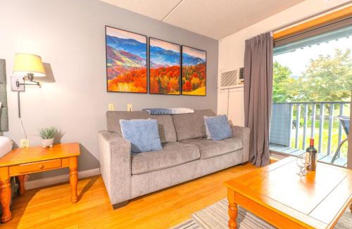 Jeffersonville Apartment | Smugglers' Notch Studio Hike & Bike