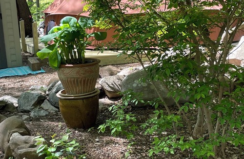 Southbury RV Rental | Soothing 1-bedroom campground in beautiful Southbury perfect for relaxing