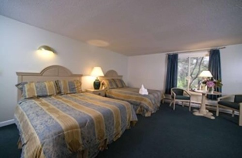 Wellfleet Hotel | Southfleet Motor Inn
