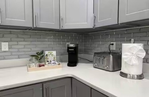Dudley - Brunswick King Apartment | Spacious 4BR Dorchester Retreat Near Red Line Parking Pet-Friendly - 233/1