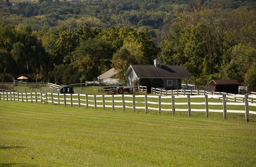 Town of Milo House | SPECTACULAR EAST-SIDE COTTAGE ON KEUKA LAKE