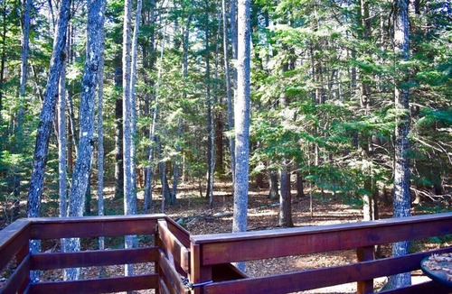 North Conway House | Stand-Alone Condo, Walk to Diana's Bath & Hiking Trails from your Backdoor!