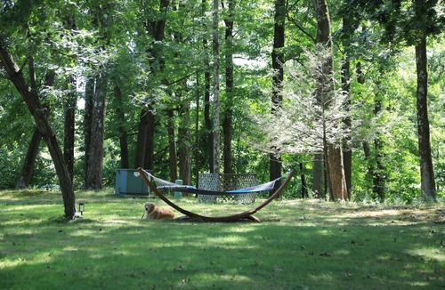 Saugerties South Apartment | Staycation at Upstate NY: Fenced Dog Yard & Peaceful Family Escape w/Pool & WIFI