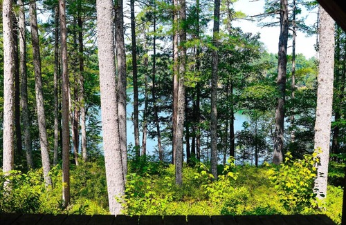 Denmark House | Still Waters on Long Pond Hiking Peaceful