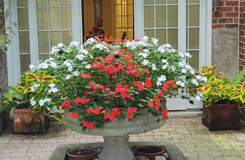 East Credit House | Stylish Private Garden Suite Near Toronto Airport