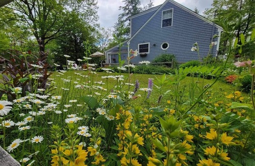 Tamworth House | Tamworth cozy cottage on a brook with trails
