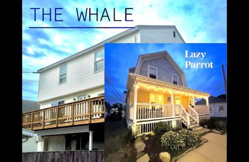 Hampton House | The Blue Parrot at Hampton Beach