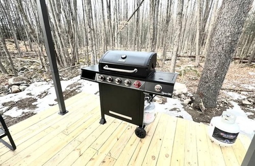 Lake Ariel Apartment | The Hut House 3BR, 3BA, Game Room Massage Chair!