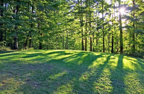 Killington House | The Killington Cabin by Killington Vacation Rentals
