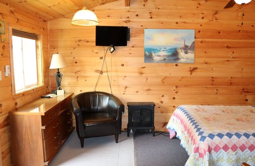 Alton Cabin | The Love Nest-Pine lined walls 1 room efficiency cabin #4