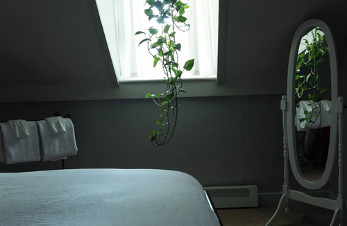 Bath Apartment | The Rosalia Apartment