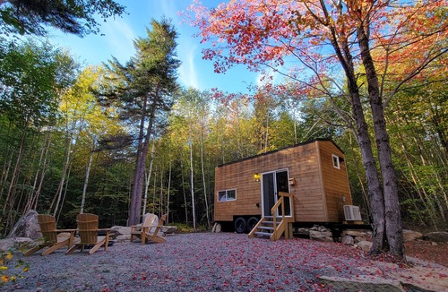 Dorchester Apartment | Trailside Stays- Tiny House in the Woods-Chickadee
