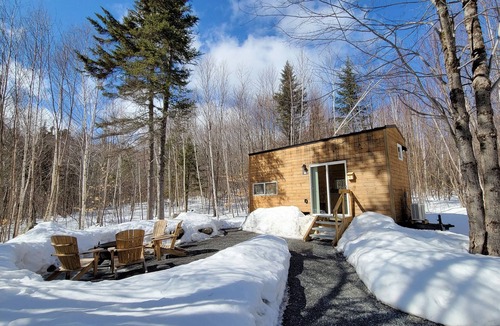 Dorchester Apartment | Trailside Stays- Tiny House in the Woods-Chickadee