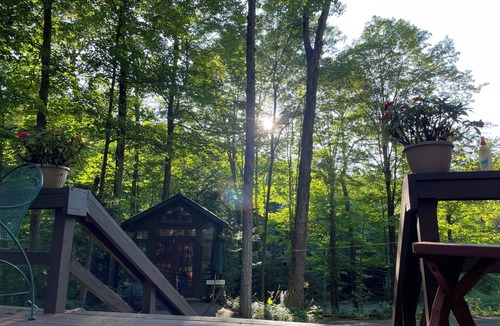 Jamesville House | Tranquil 4-bedroom forest house perfect for a relaxing getaway in Jamesville