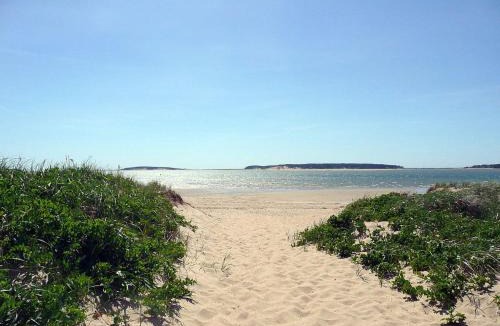 Wellfleet House | Tranquil Cozy Cottage Recently Renovated