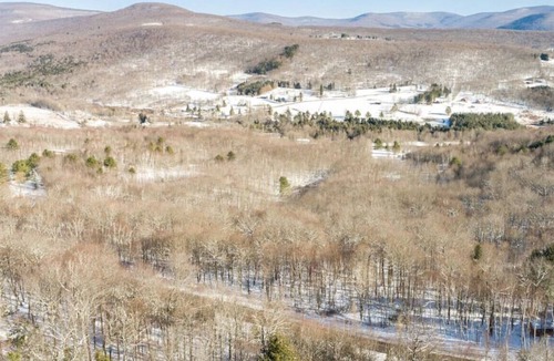 Fleischmanns Cabin | Tree Tops Retreat, A Stylish 3 BR Getaway with Hot Tub
