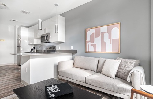 St. Elizabeth's Apartment | Trendy Brighton 1BR w/W/D, Gym, near T, Shops + Dining