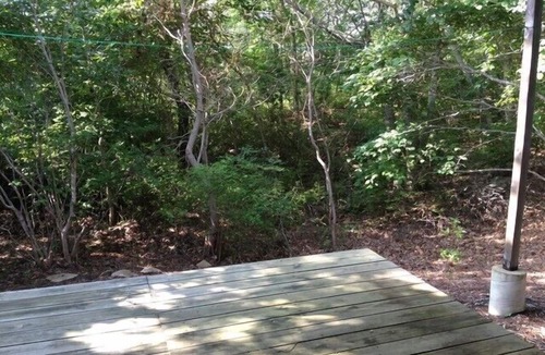 Aquinnah House | Up-Island Treehouse with Roofdeck and Waterviews