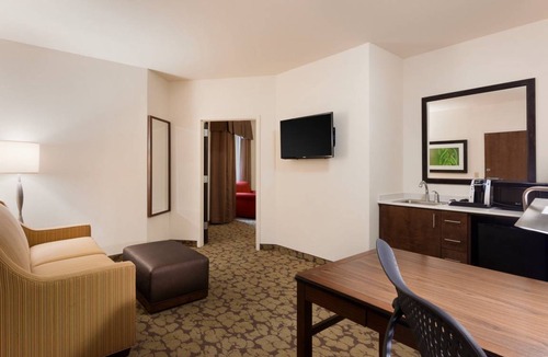 Central Business District Hotel | Hilton Garden Inn Rochester Downtown 1 King Accessible Suite With Bathtub