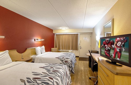Milford Hotel | Pet-Friendly Room Near Beaches – First Pet Stays Free!