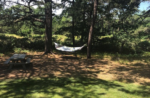 Edgartown House | Vacation at Martha's Vineyard Swan Cottage, Edgartown’s Quiet Forest Retreat.