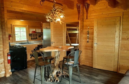 Golden Lake Cabin | VERY PRIVATE, Escarpment Cabin, No Neighbours, Pet Friendly - Sarah Lesley Cabin