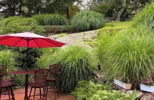 West Mystic House | Walk to Historic Downtown Mystic! Best Location—beach, marinas, eateries!