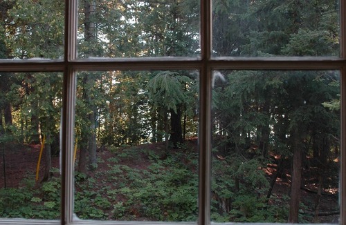 Tiny Cabin | walk to private beach across the street - 2 BR Cabin - amazing sunsets