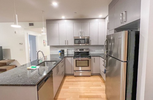 Roxbury Apartment | Walks to the Longwood are, modern apt with gym